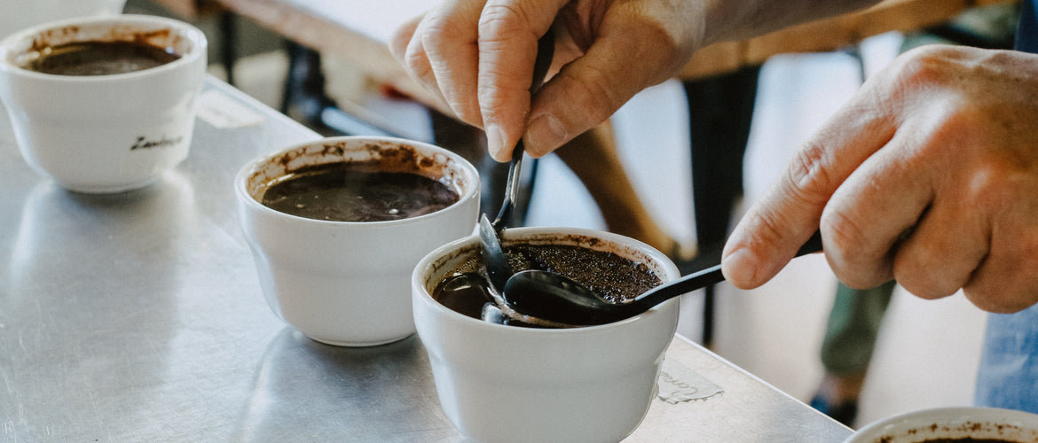 Green Coffee Grading and Coffee Cupping