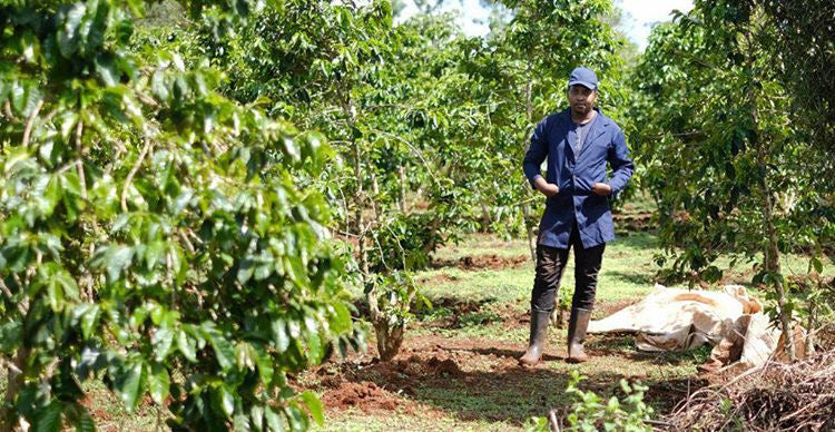 Our Coffee and Farmers - Maguta Estate Coffee