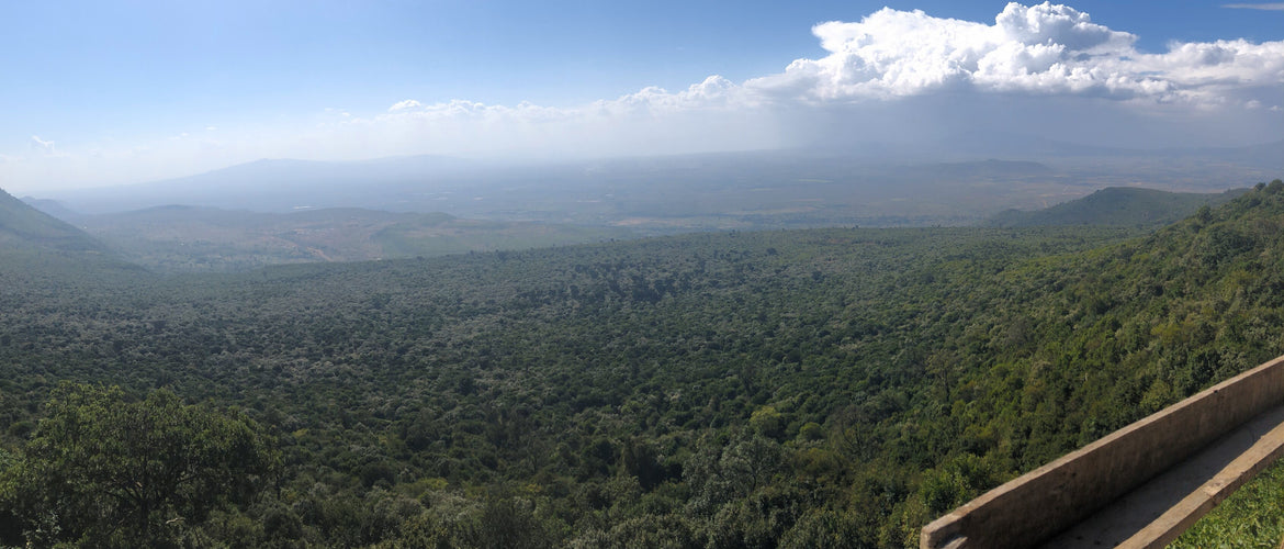 Rift Valley View Point and Lake Naivasha